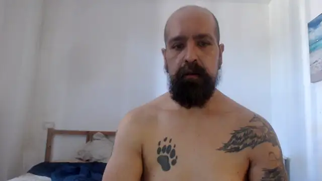 AMIRDIB2025 Chat XXX live