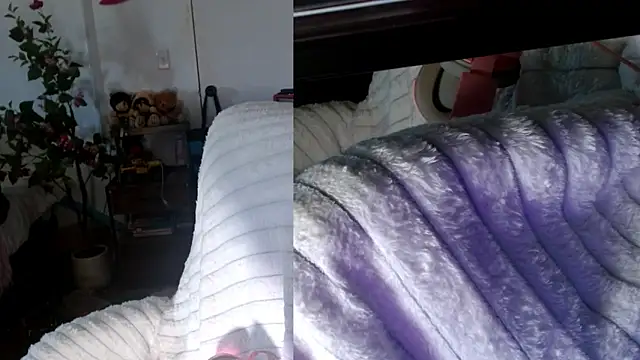 alys_at_college's Live XXX Chat