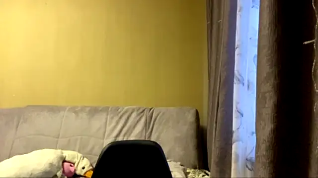nyanyamonkey Live XXX-chat