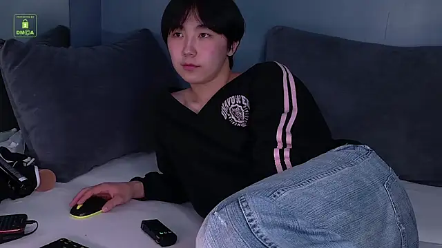 HeejinWang Webcamshow