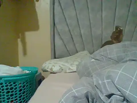 Živý XXX chat slimbabydolly