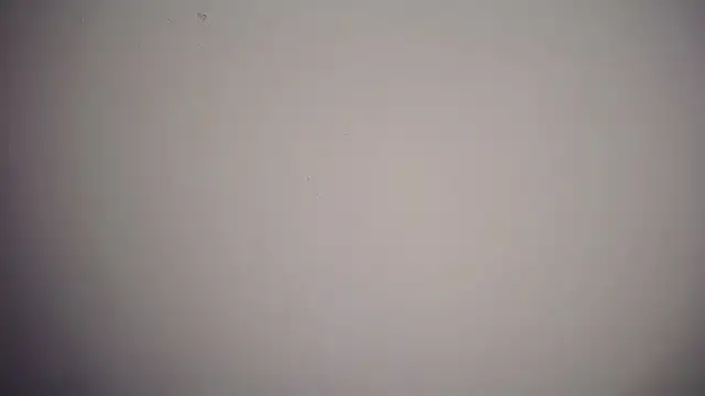 Živý XXX chat skey_12