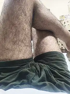 Hairyboysexy1n Webbikameraesitys