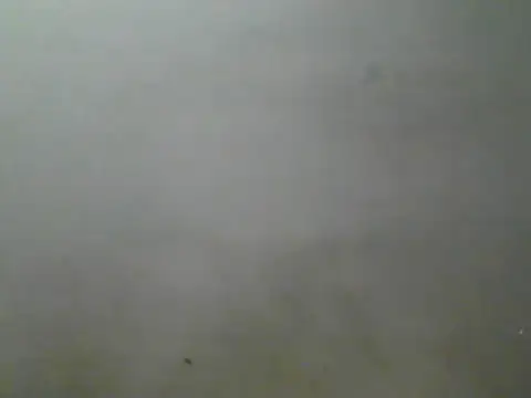 Foxboy65 现场XXX聊天