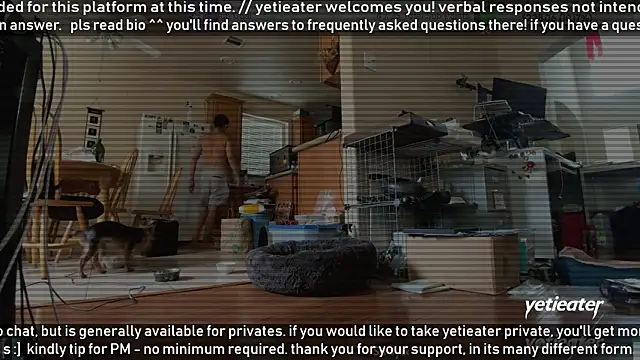 Онлайн чат XXX yetieater