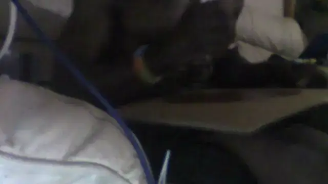 BoxlikeCondition770 live XXX chat