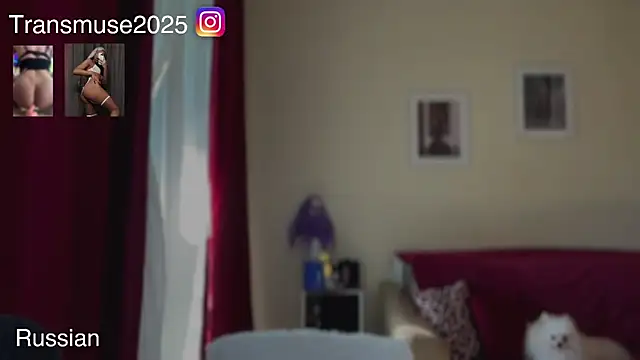 Czat XXX na żywo – NikandJane