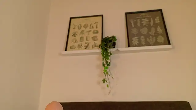 Živý XXX chat RiriiBrunette__