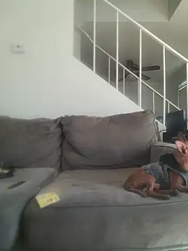 yourMasterisBored Live XXX Chat