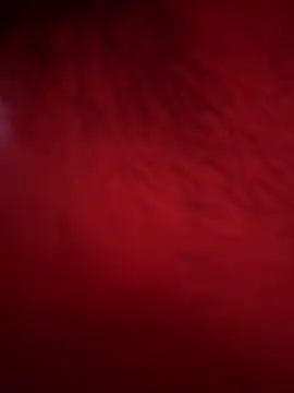 hieutran77777 Show Webcam