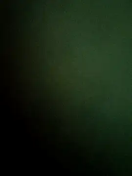 RAYI_Queen_4 라이브 XXX 채팅