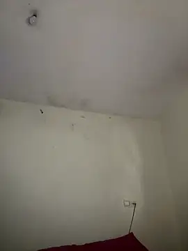 arabayla Chat XXX live