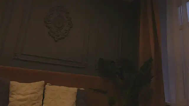 Liv_Fay 라이브 XXX 채팅
