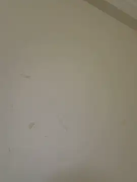 Xiaozuzongo1's Live XXX Chat
