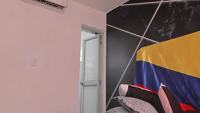 AerumChae Adlı Modelin Canlı XXX Sohbeti