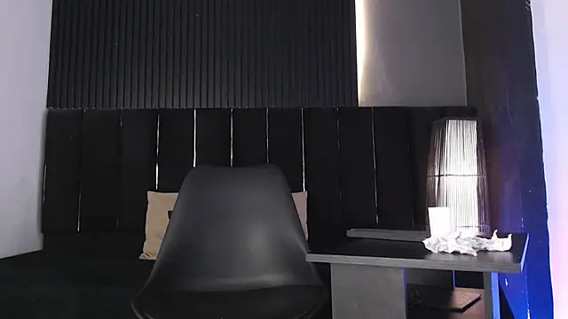 Logan_Steeln Webbikameraesitys