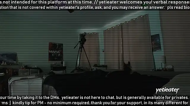 Show webcam de yetieater