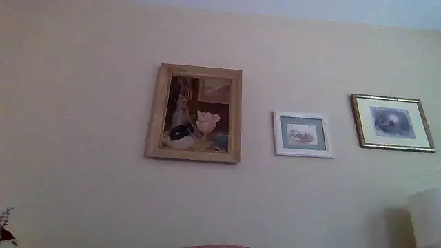 Show webcam de kollzCloudzz