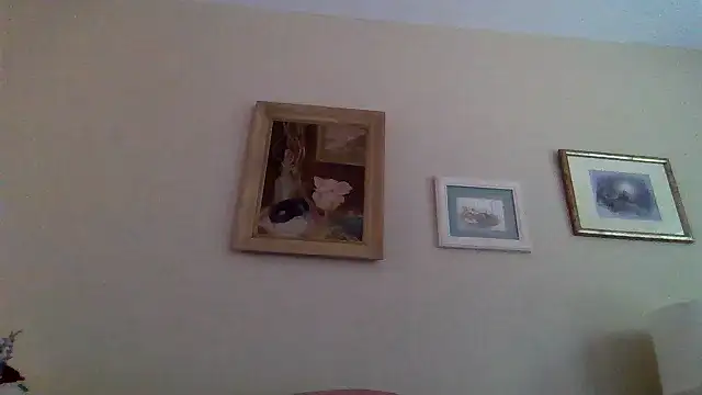 Show webcam de kollzCloudzz