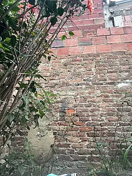 Emily_Gomezz লাইভ XXX চ্যাট