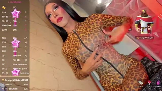anitacruise 라이브 XXX 채팅
