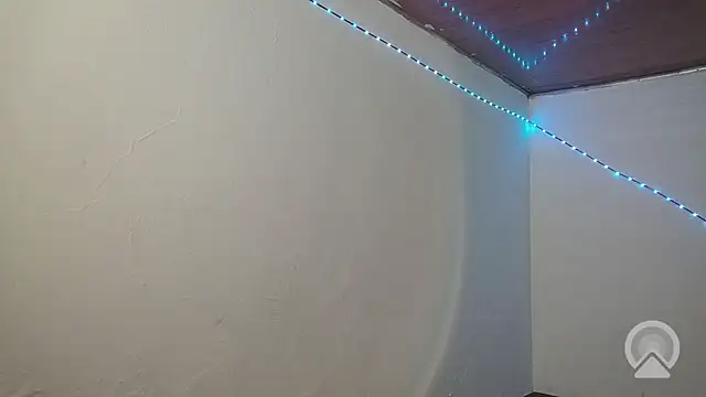 Pao_Ly 라이브 XXX 채팅