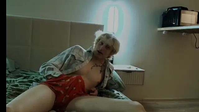 posterbo Webcam-Show