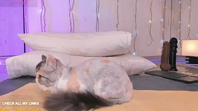 ohyesly_ 라이브 XXX 채팅
