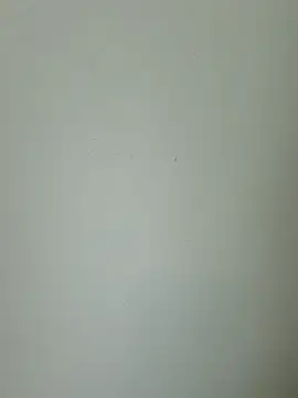ladyboyxxl's Live XXX Chat