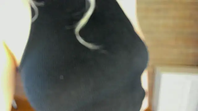 MilanaBalmain Live XXX-Chat