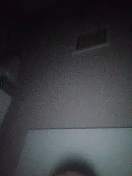 Show Webcam de NiceBadgera
