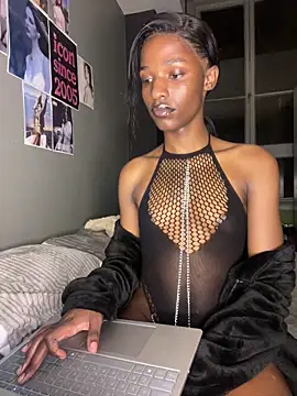 Show webcam de Trans_fairy