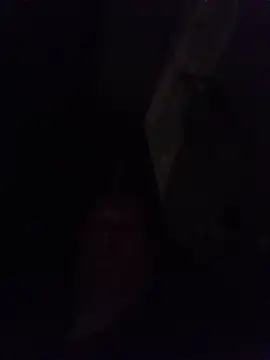 Chat XXX Live Alexis_Bull