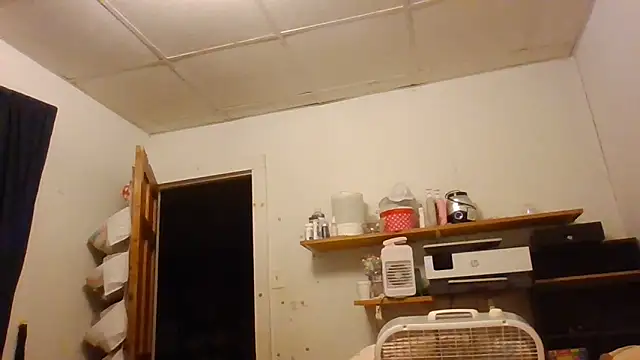 Chat +18 de starlight1983 ao vivo