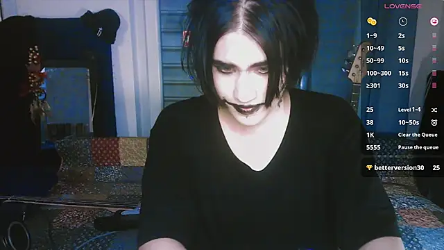 Show webcam de sademobeer