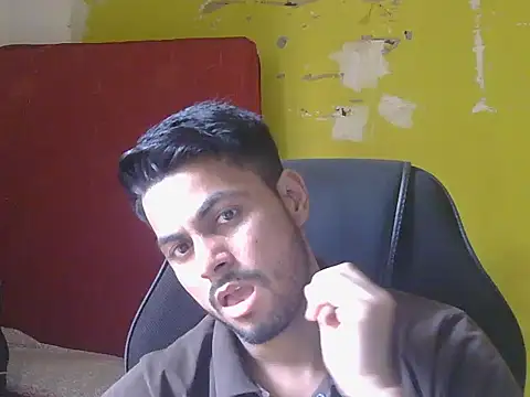 Stubborndesiboyのウェブカメラショー