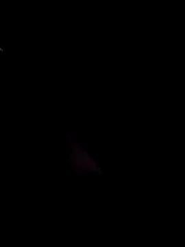 nocsivag Show Webcam