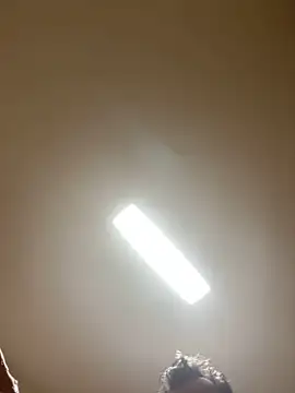 TonyR84 라이브 XXX 채팅