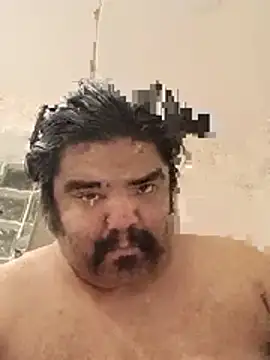 Show webcam de Brickstash