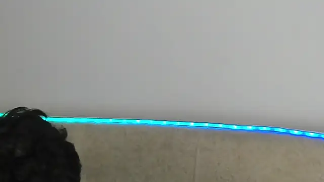 _Alex_Colton Webcamshow