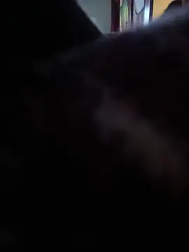 Webkamerová show VelascoBr