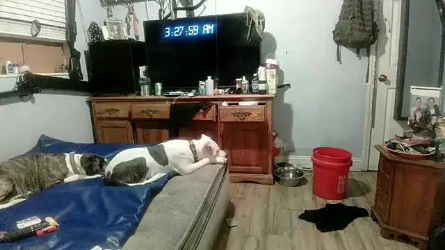 Živý XXX chat PornStro921