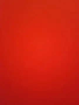 Czat XXX na żywo – Taylor__Swiftt