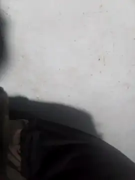 kypupy Pertunjukan Webcam