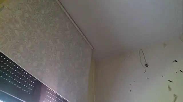 sumision_activa 网络视讯表演
