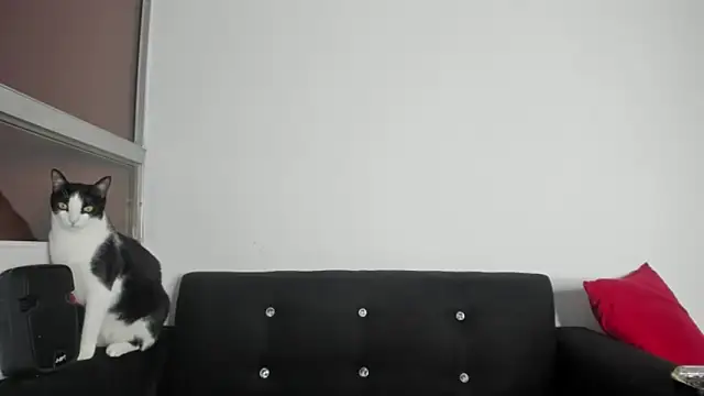 Onion_knight's Live XXX Chat