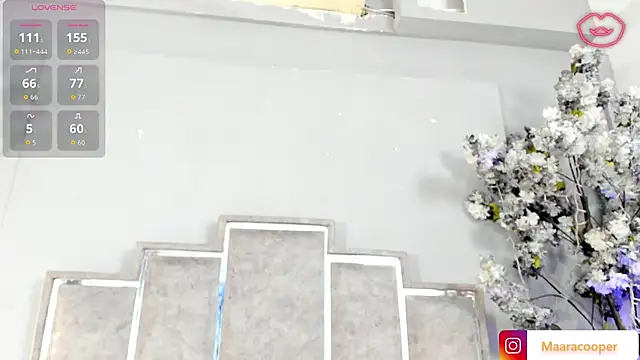 Chat XXX ao vivo de Maaracooper