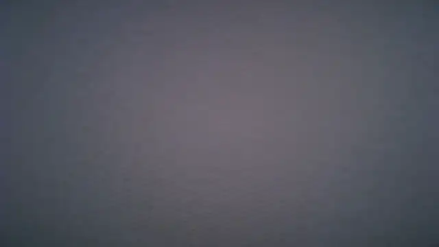 test_model123's Webcam Show