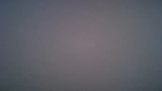 test_model123's Webcam Show