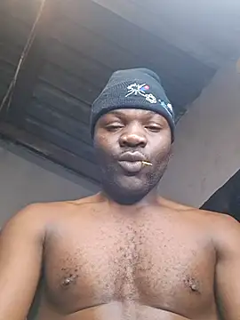 Petrossa Live XXX-Chat